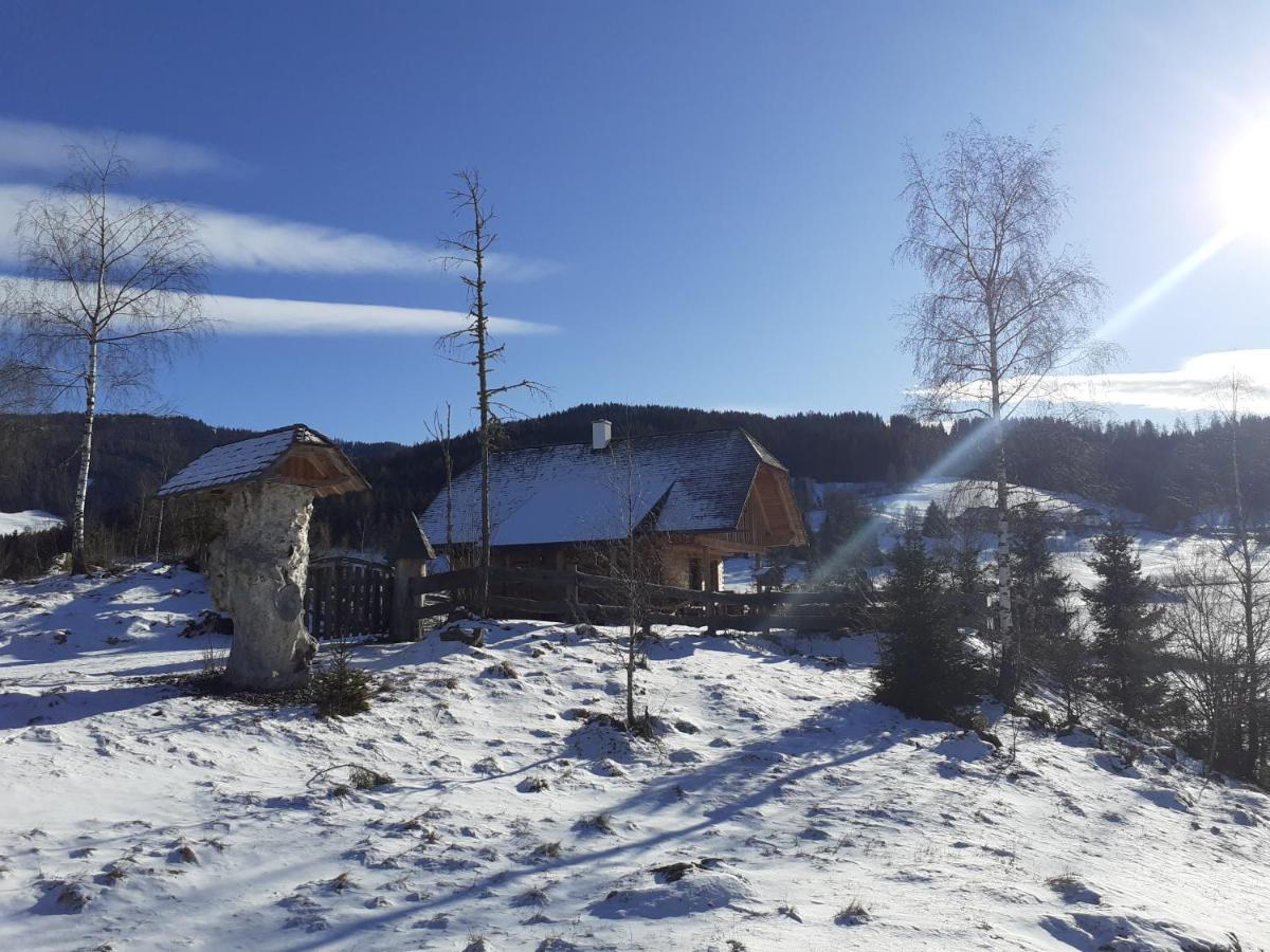 Pichelhuette Villa Murau Dış mekan fotoğraf